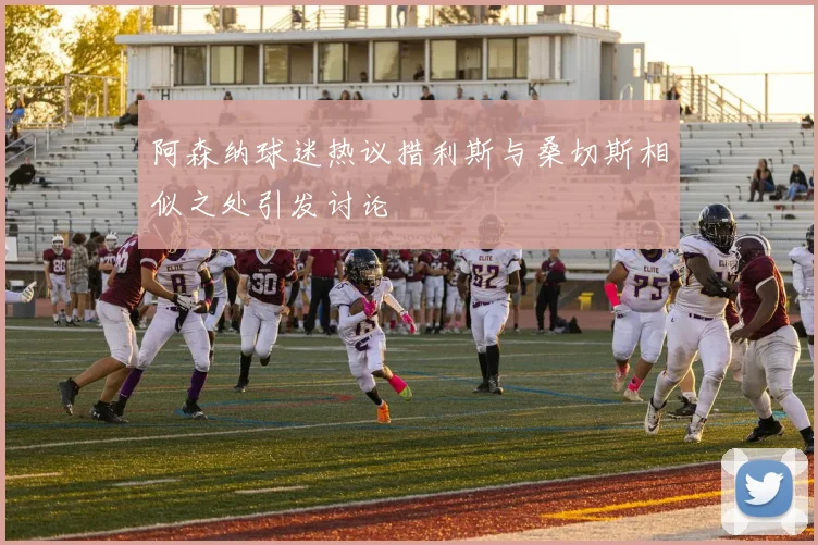 阿森纳球迷热议措利斯与桑切斯相似之处引发讨论
